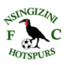 Nsingizini Hotspurs